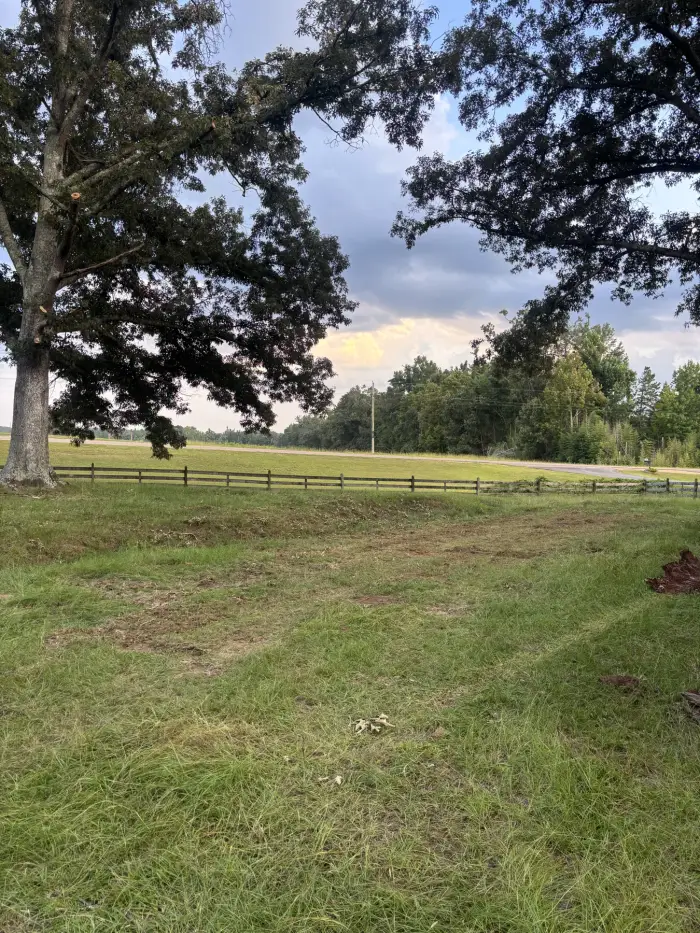 Open, mown pasture inside a board fence with a mature oak at one edge and a road beyond
