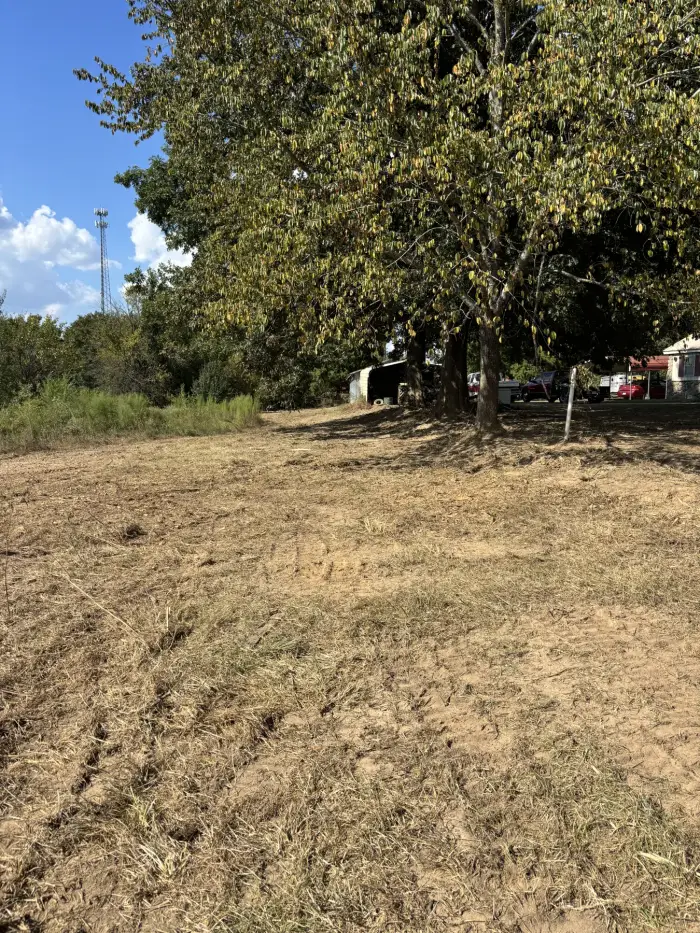 A mulched yard running from the foreground back to a tree line beside a house