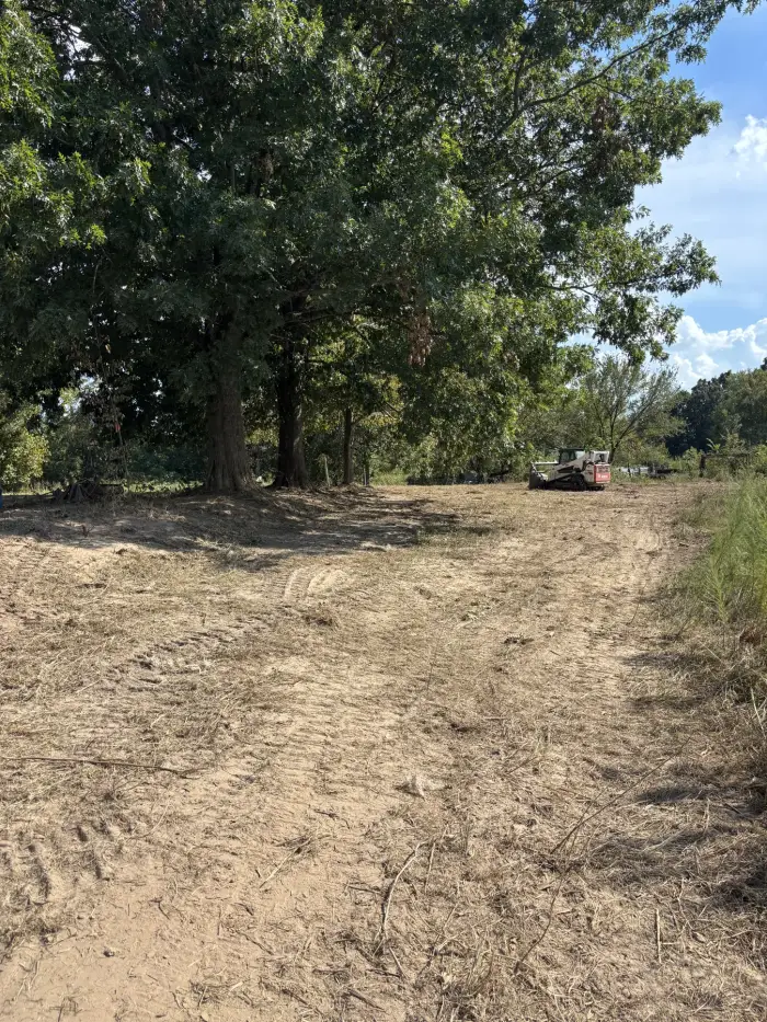 Cleared, mulched ground running out to a stand of mature shade trees with a track loader parked at the edge