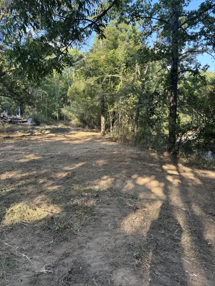 Cleared, shaded ground beneath a mature canopy at the edge of the woods