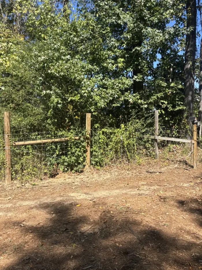 A wire-and-post fence line with the ground in front of it cleared back and mulched