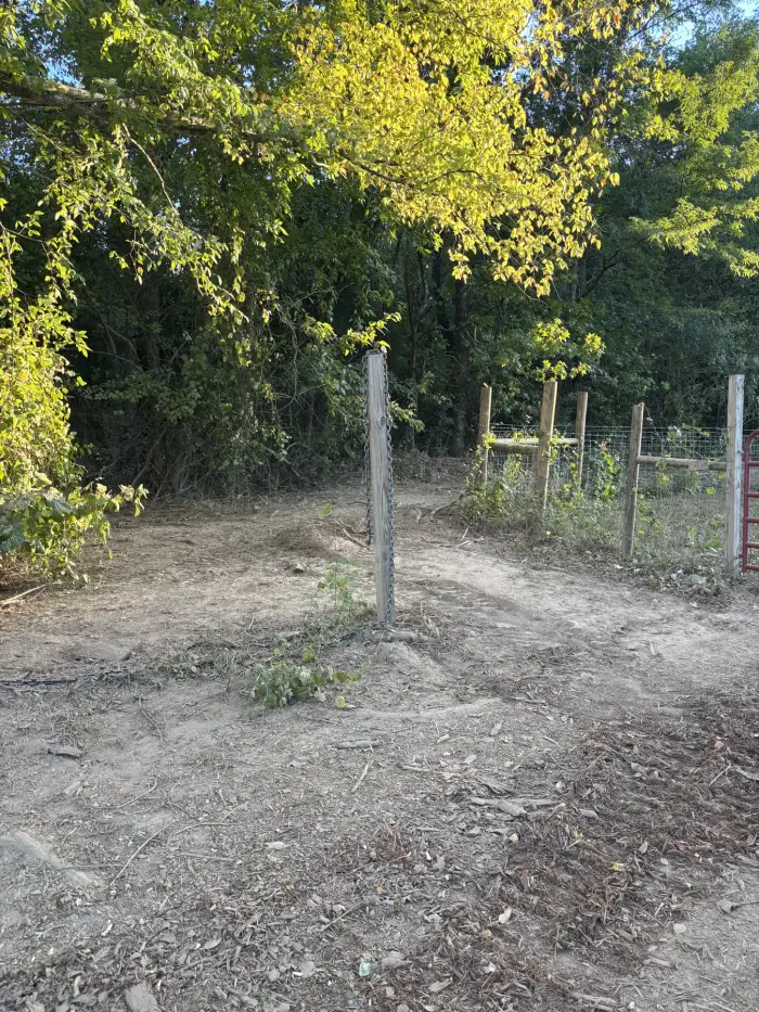 A cleared corner at a gate post with mulch spread across the bare ground